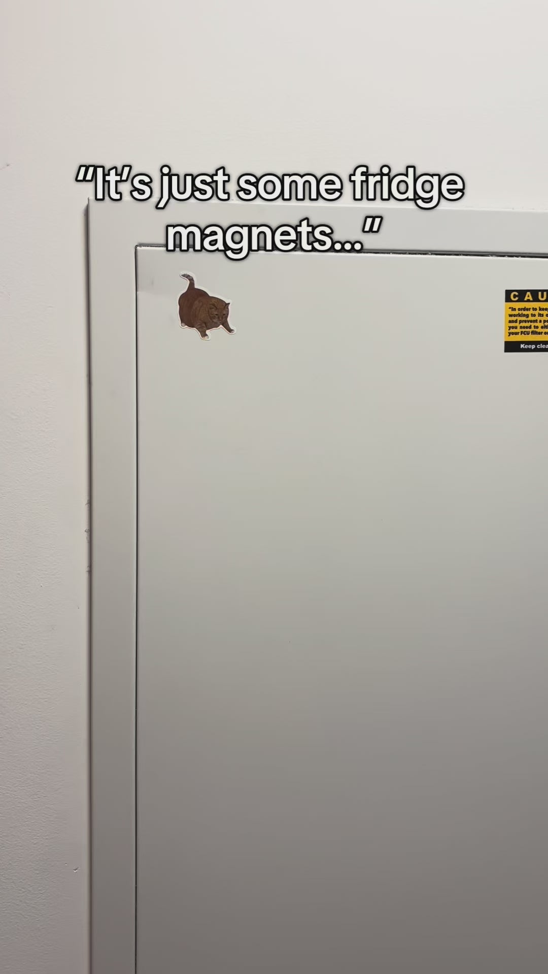 MineMart™ Minecraft Magnet Set video